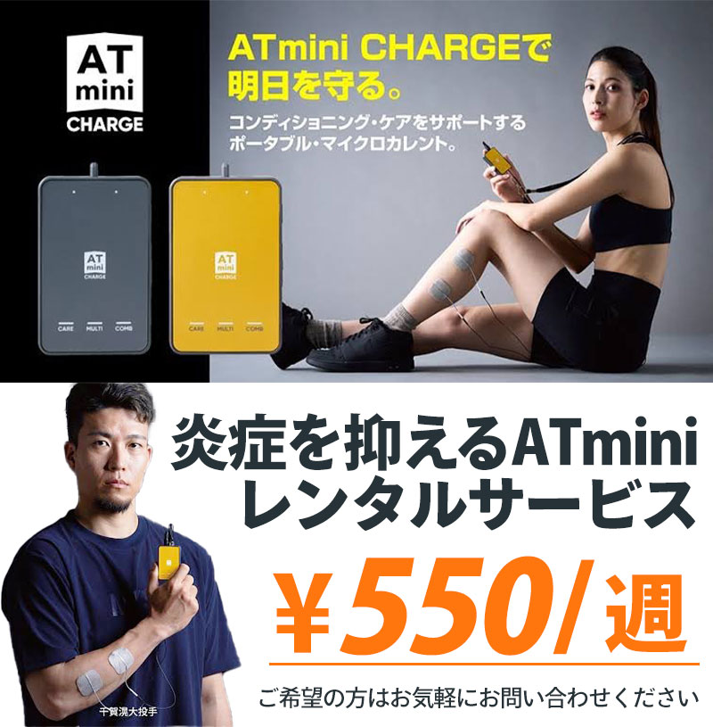 炎症を抑えるATminiレンタルサービス